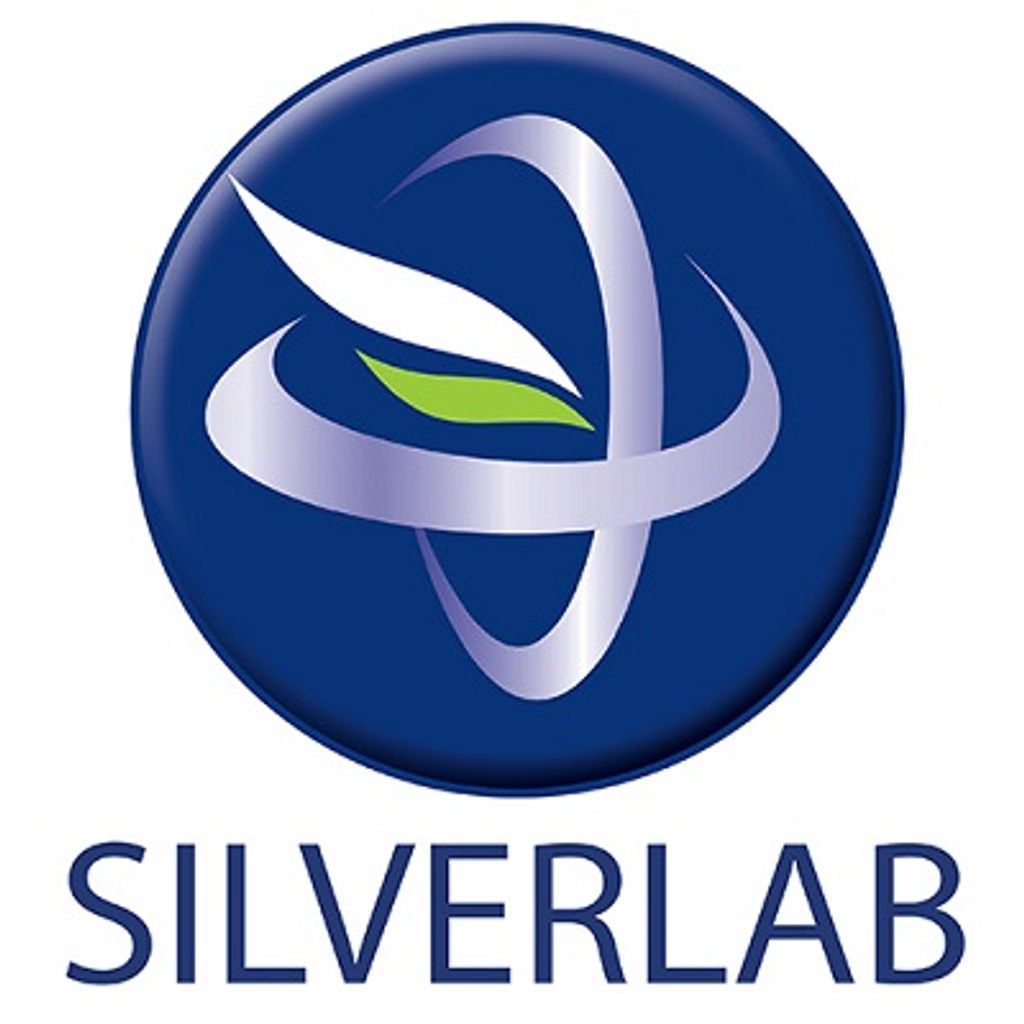 Silverlab Cover Image